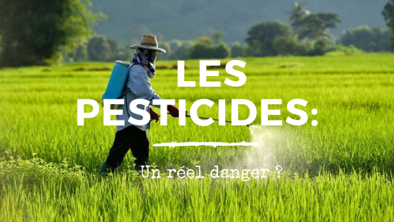 Les pesticides un réel danger